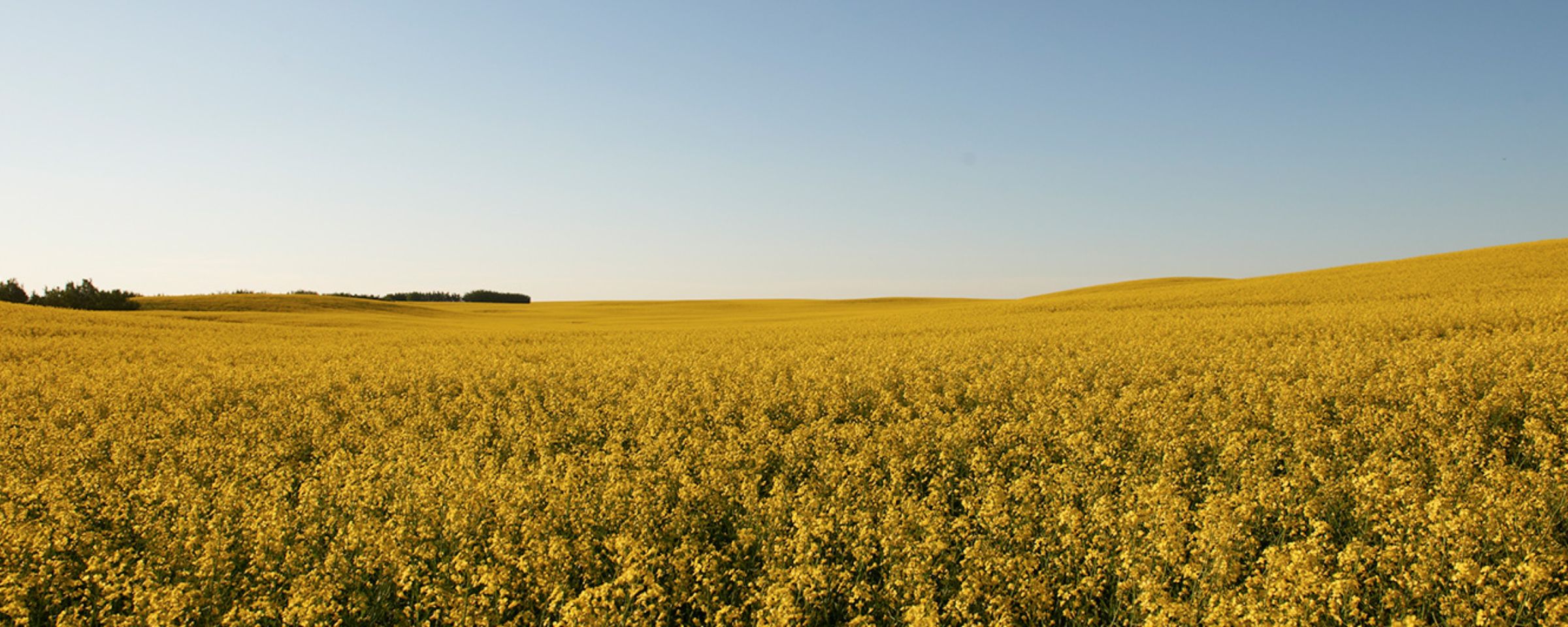Demonstration Strip Trials