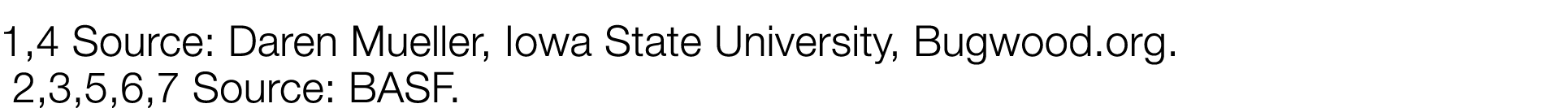 1,4 Source: Daren Mueller, Iowa State University, Bugwood org  2,3,5,6,7 Source: BASF 