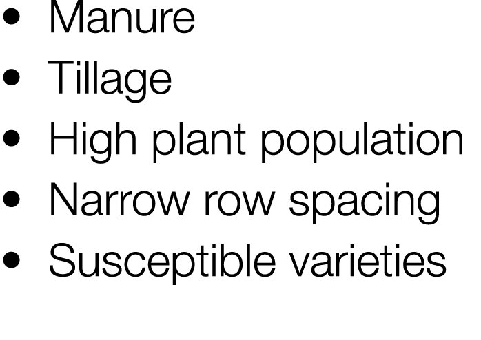     Manure     Tillage    High plant population     Narrow row spacing     Susceptible varieties 