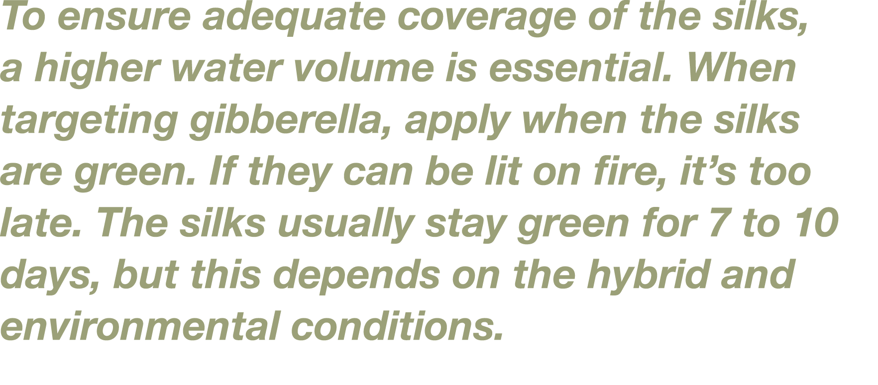To ensure adequate coverage of the silks, a higher water volume is essential  When targeting gibberella, apply when t   