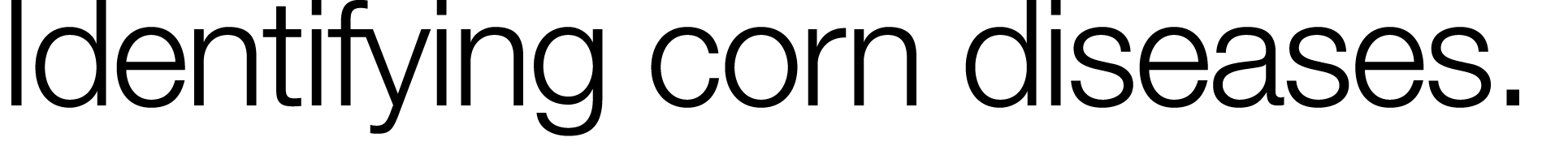 Identifying corn diseases 