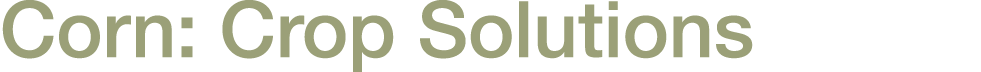Corn: Crop Solutions