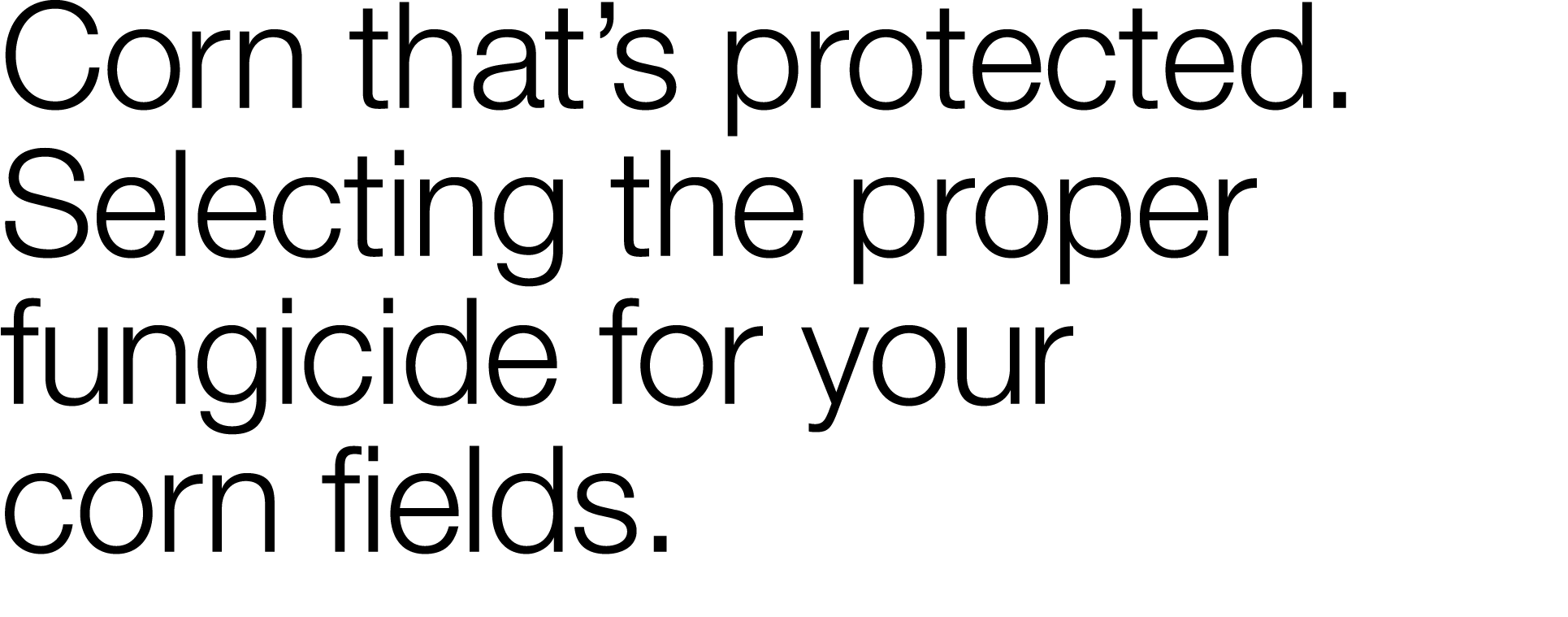 Corn that s protected  Selecting the proper fungicide for your corn fields  