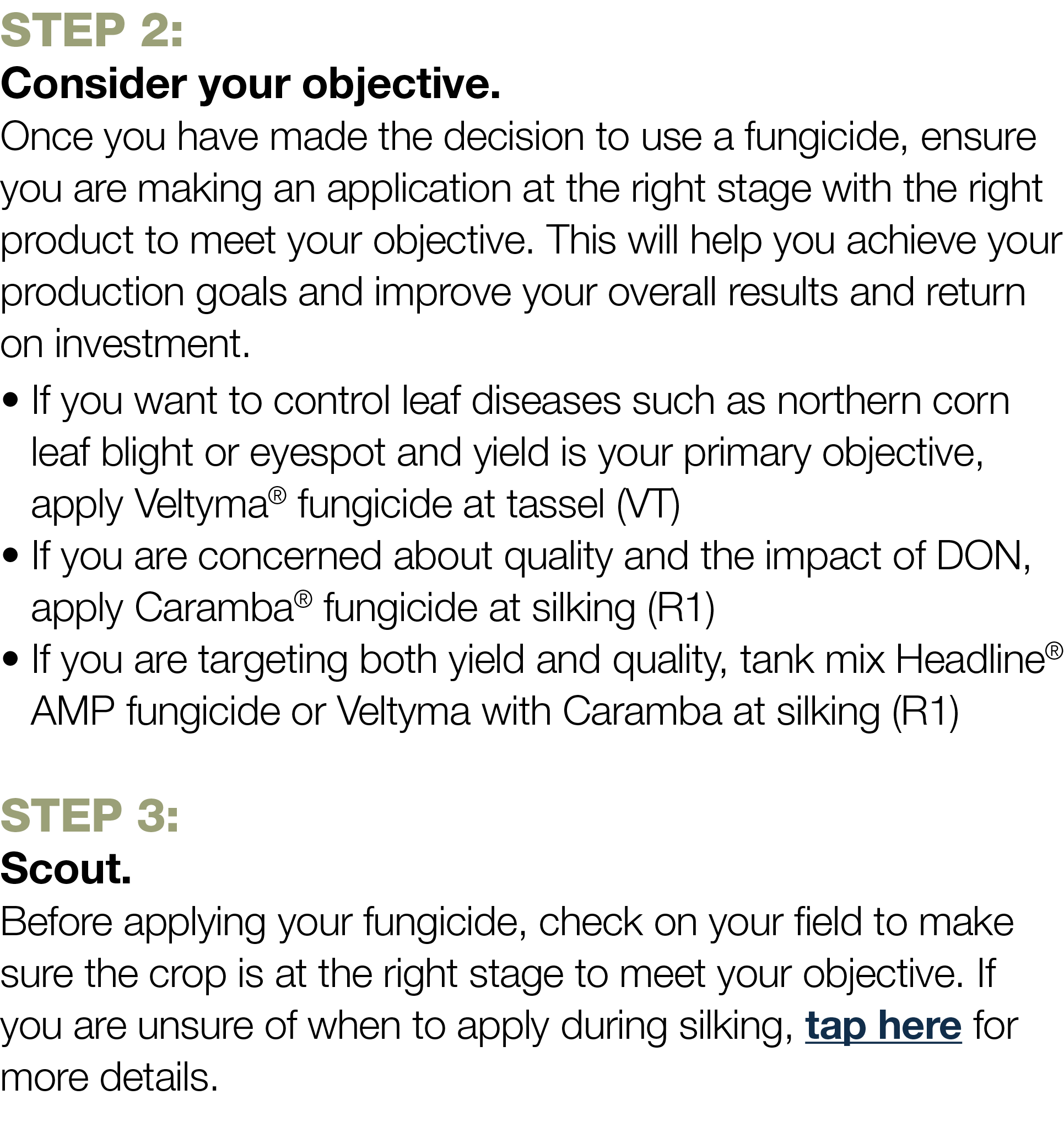 Step 2: Consider your objective  Once you have made the decision to use a fungicide, ensure you are making an applica   