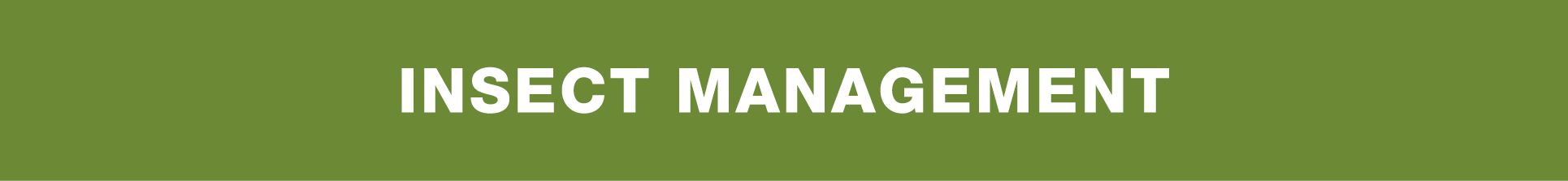 insect management