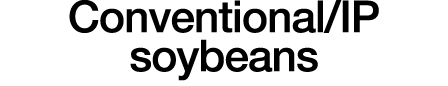 Conventional IP soybeans