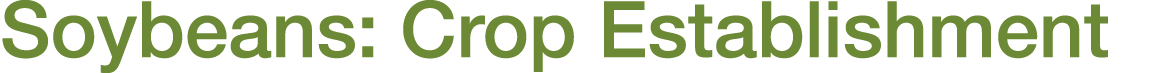 Soybeans: Crop Establishment