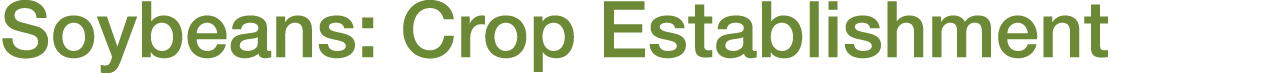 Soybeans: Crop Establishment