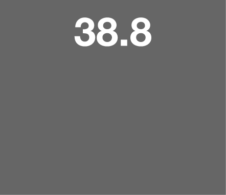 38 8