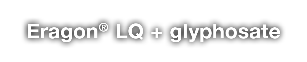 Eragon  LQ + glyphosate