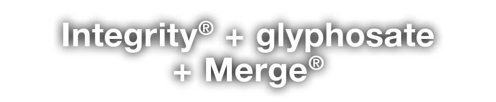 Integrity  + glyphosate + Merge  