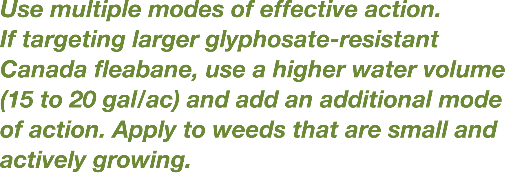 Use multiple modes of effective action  If targeting larger glyphosate-resistant Canada fleabane, use a higher water    