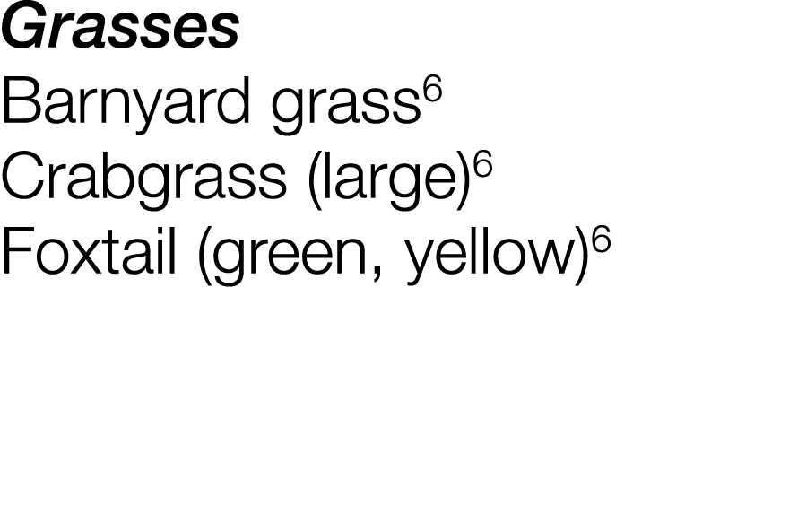 Grasses Barnyard grass6 Crabgrass (large)6 Foxtail (green, yellow)6 