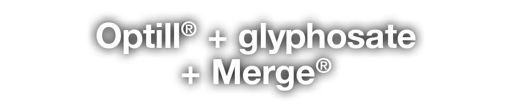 Optill  + glyphosate + Merge  