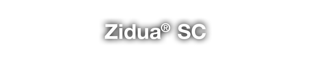 Zidua  SC