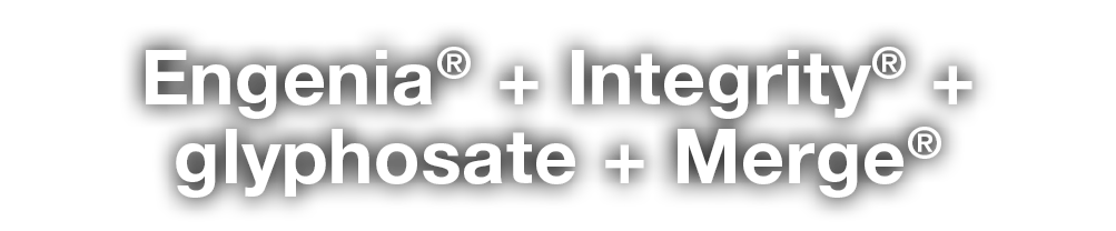 Engenia  + Integrity  + glyphosate + Merge  