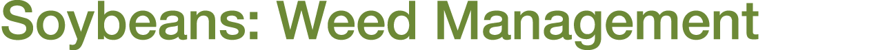 Soybeans: Weed Management