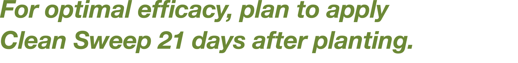 For optimal efficacy, plan to apply Clean Sweep 21 days after planting 