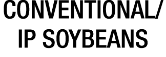 CONVENTIONAL IP SOYBEANS