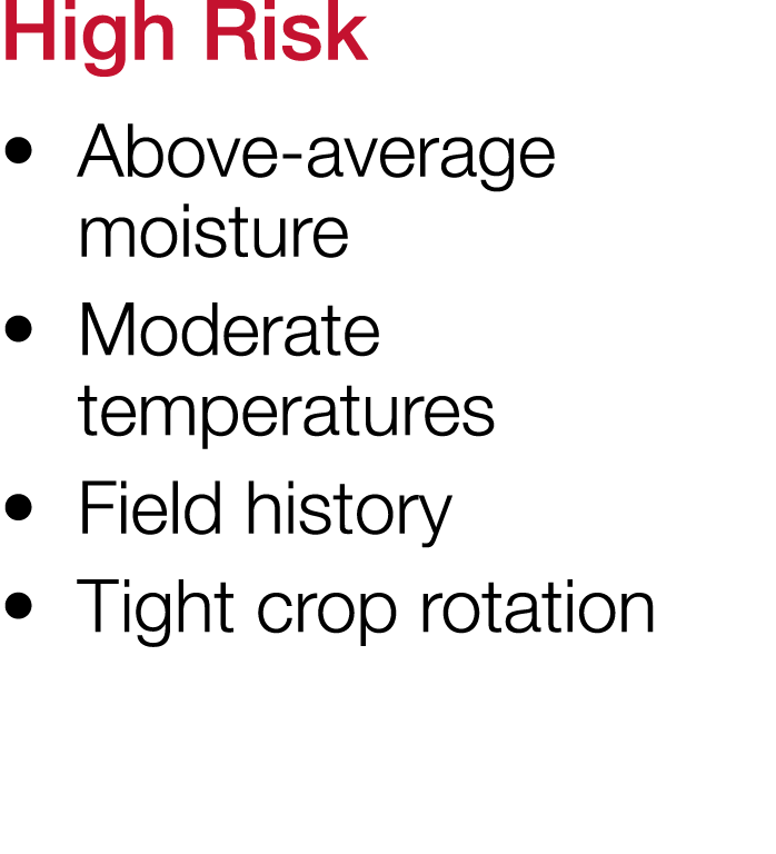 High Risk     Above-average moisture     Moderate temperatures     Field history     Tight crop rotation 