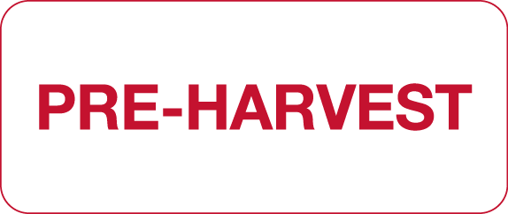 PRE-HARVEST