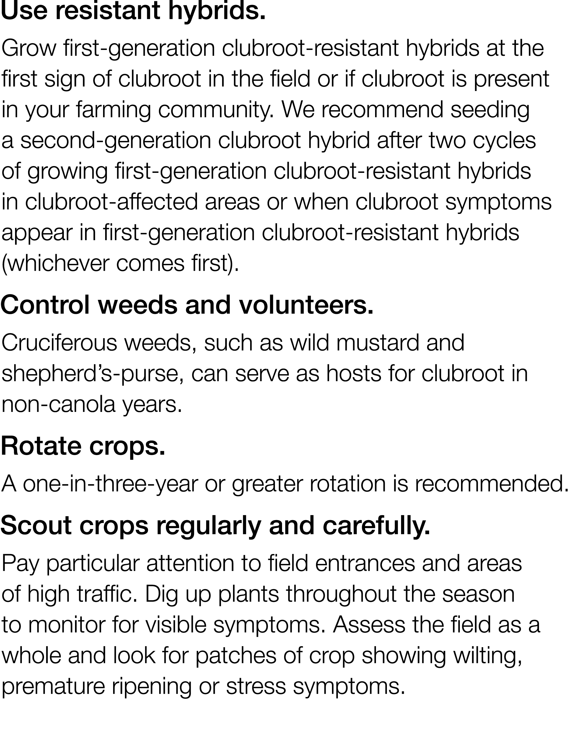 Use resistant hybrids  Grow first-generation clubroot-resistant hybrids at the first sign of clubroot in the field or   