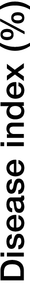 Disease index (%)