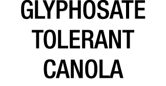 GLYPHOSATE TOLERANT CANOLA