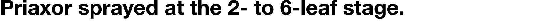 Priaxor sprayed at the 2- to 6-leaf stage 