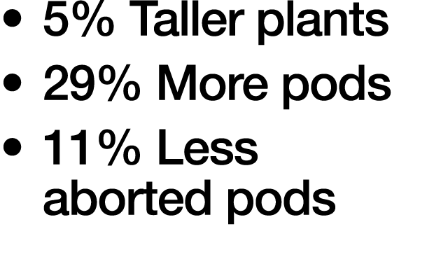    5% Taller plants    29% More pods    11% Less aborted pods