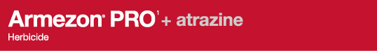  1 + atrazine