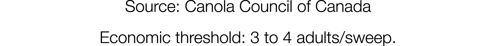 Source: Canola Council of Canada Economic threshold: 3 to 4 adults sweep 