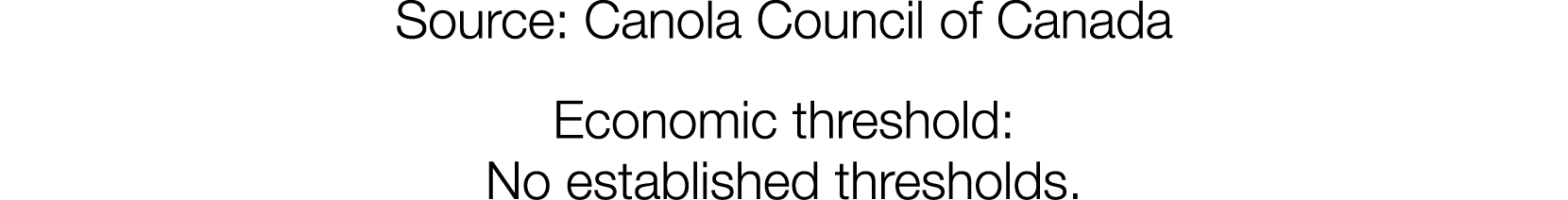 Source: Canola Council of Canada Economic threshold: No established thresholds 