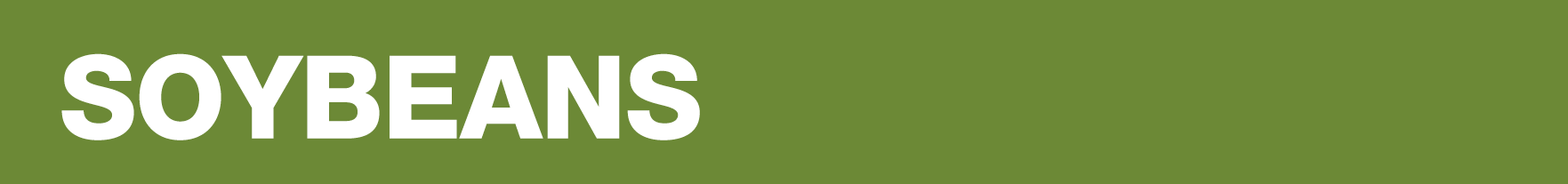 SOYBEANS 
