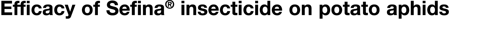 Efficacy of Sefina  insecticide on potato aphids