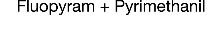 Fluopyram + Pyrimethanil