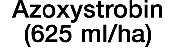 Azoxystrobin (625 ml ha)