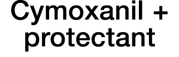 Cymoxanil + protectant