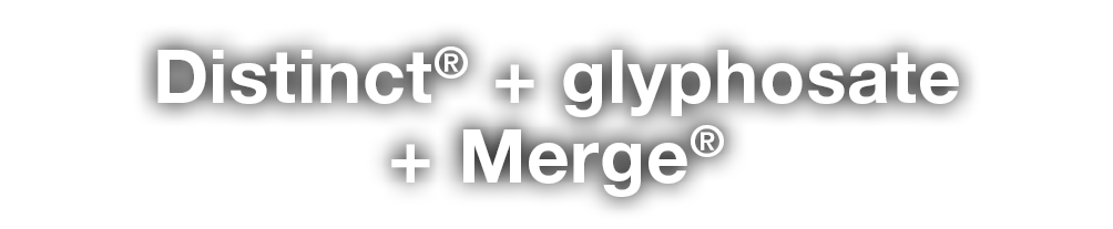 Distinct  + glyphosate + Merge 
