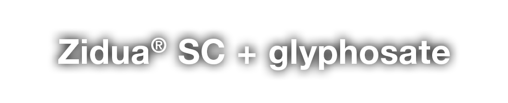 Zidua  SC + glyphosate