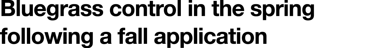 Bluegrass control in the spring following a fall application 