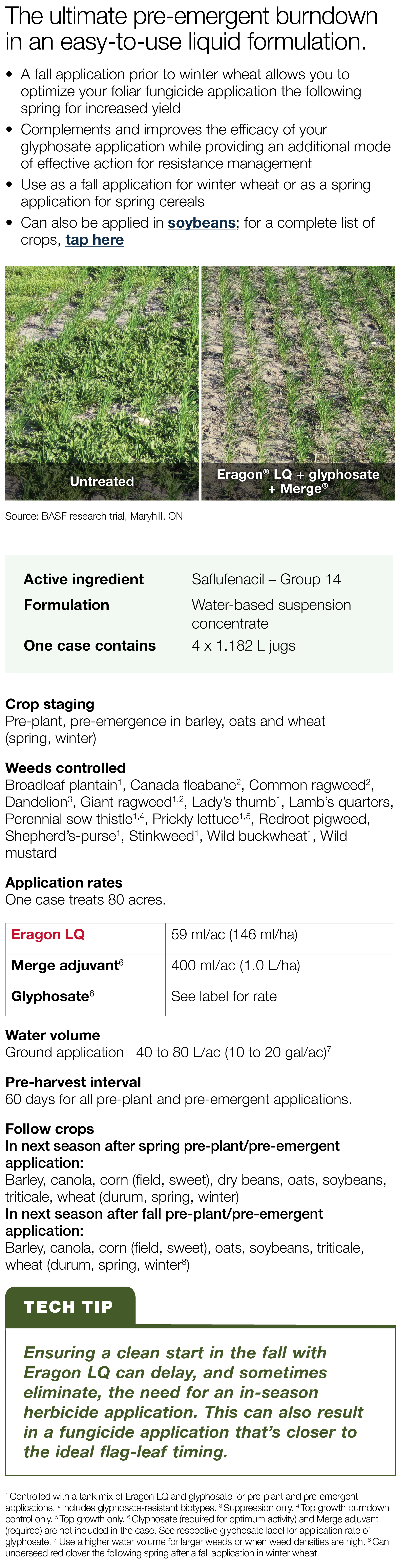 The ultimate pre-emergent burndown in an easy-to-use liquid formulation     A fall application prior to winter wheat    