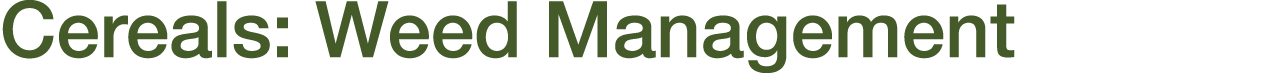 Cereals: Weed Management