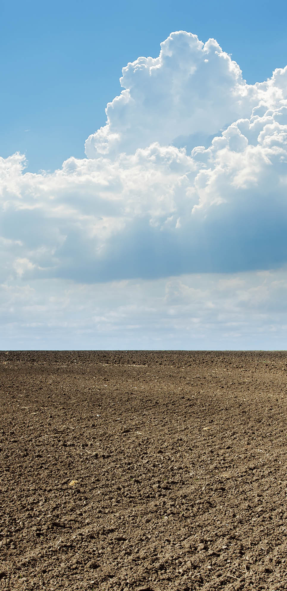 plowed field in spring and clouds over it