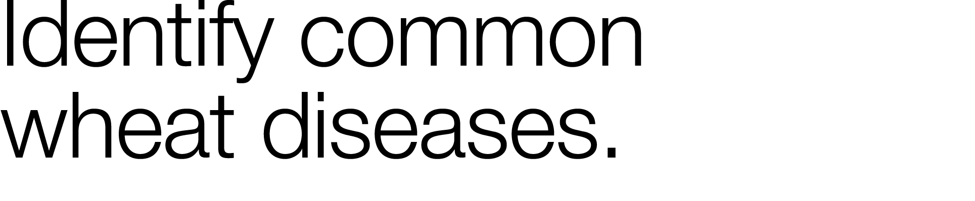 Identify common wheat diseases 