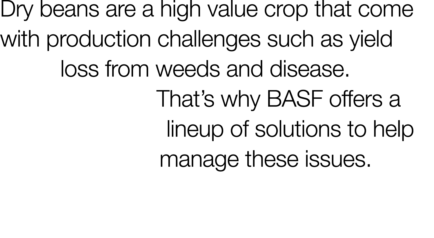 Dry beans are a high value crop that come with production challenges such as yield loss from weeds and disease  That    