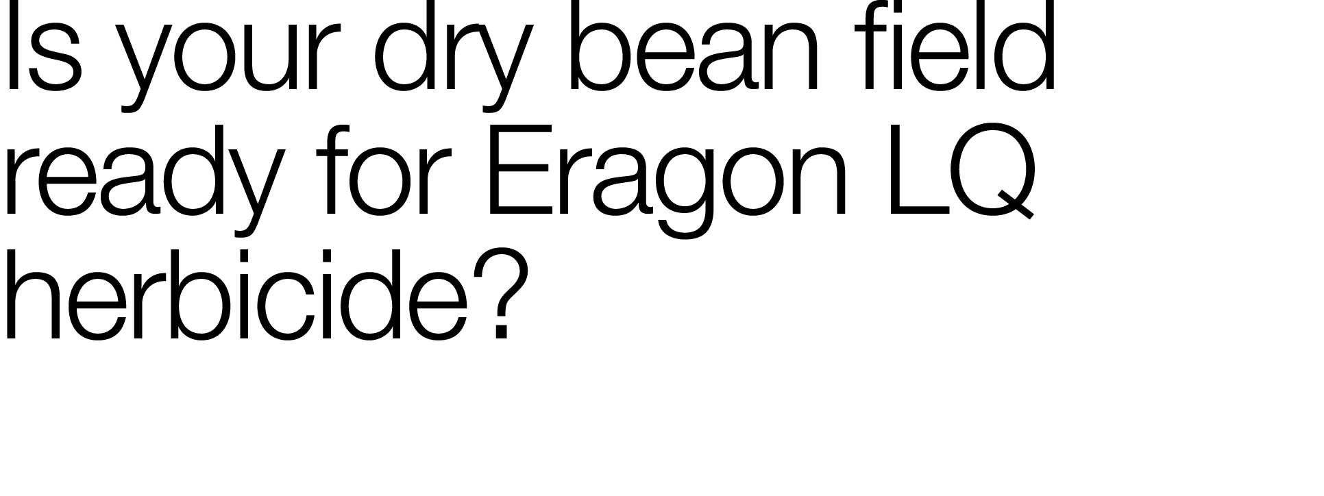 Is your dry bean field ready for Eragon LQ herbicide  