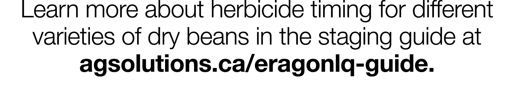 Learn more about herbicide timing for different varieties of dry beans in the staging guide at agsolutions ca eragonl   