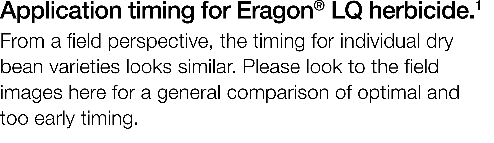 Application timing for Eragon  LQ herbicide 1 From a field perspective, the timing for individual dry bean varieties    