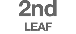 2nd LEAF